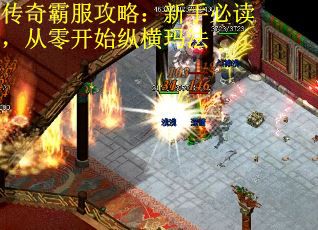 传奇霸服攻略：新手必读，从零开始纵横玛法