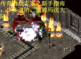 传奇游戏专家之新手指南：步步进阶，驰骋玛法大陆