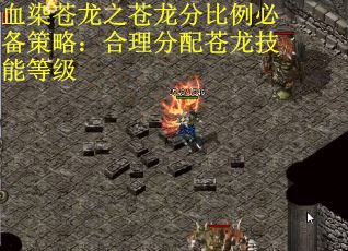 血染苍龙之苍龙分比例必备策略：合理分配苍龙技能等级