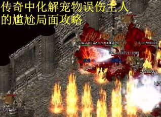 传奇中化解宠物误伤主人的尴尬局面攻略