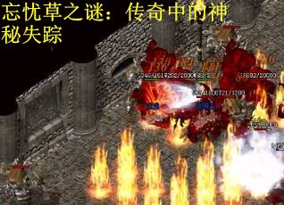 忘忧草之谜：传奇中的神秘失踪