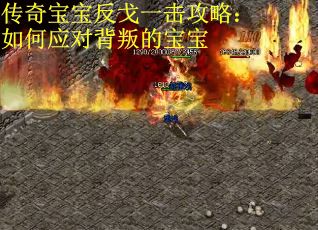 传奇宝宝反戈一击攻略：如何应对背叛的宝宝