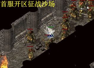 首服开区征战沙场