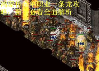 鸿蒙传奇单职业一条龙攻略：新手必看全面解析