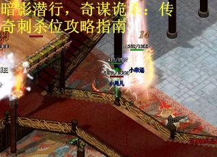 暗影潜行，奇谋诡杀：传奇刺杀位攻略指南