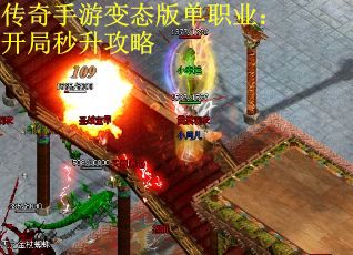 传奇手游变态版单职业：开局秒升攻略