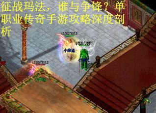 征战玛法，谁与争锋？单职业传奇手游攻略深度剖析