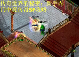 传奇世界的秘密：新手入门中变传奇SF攻略