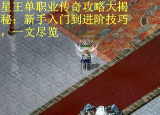 星王单职业传奇攻略大揭秘：新手入门到进阶技巧，一文尽览