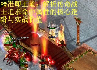 精准即王道：解析传奇战士追求命中属性的核心逻辑与实战价值