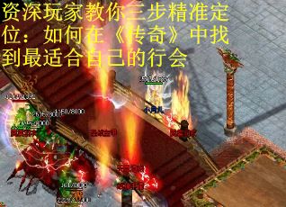资深玩家教你三步精准定位：如何在《传奇》中找到最适合自己的行会