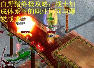 白野猪终极攻略：战士加成体系下的职业协同与爆发战术