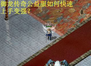 御龙传奇公益服如何快速上手变强？