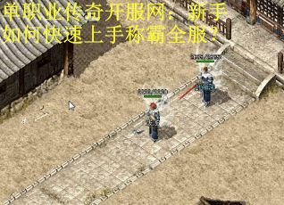 单职业传奇开服网：新手如何快速上手称霸全服？