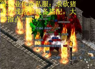 单职业传奇私服：求砍猪最佳线路和装备搭配，大神指点一下？
