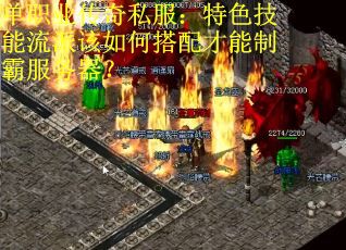 单职业传奇私服：特色技能流派该如何搭配才能制霸服务器？