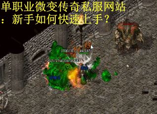 单职业微变传奇私服网站：新手如何快速上手？