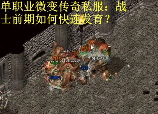单职业微变传奇私服：战士前期如何快速发育？