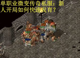 单职业微变传奇私服：新人开局如何快速发育？