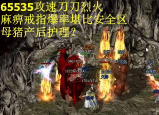 65535攻速刀刀烈火麻痹戒指爆率堪比安全区母猪产后护理？