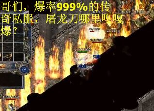哥们，爆率999%的传奇私服，屠龙刀哪里嘎嘎爆？