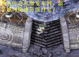 妖杀传奇私服发布网：新手如何快速升级打宝？