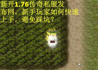 新开1.76传奇私服发布网，新手玩家如何快速上手，避免踩坑？