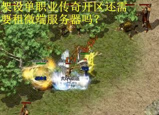 架设单职业传奇开区还需要租微端服务器吗？