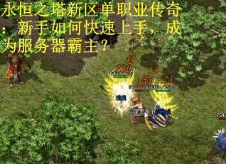 永恒之塔新区单职业传奇：新手如何快速上手，成为服务器霸主？