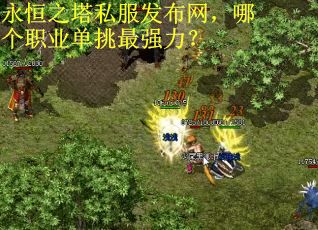 永恒之塔私服发布网，哪个职业单挑最强力？
