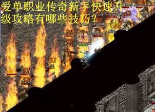 爱单职业传奇新手快速升级攻略有哪些技巧？
