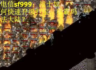 电信sf999：战士如何快速升级打宝，称霸玛法大陆？