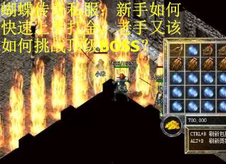 蝴蝶传奇私服：新手如何快速上手打金，老手又该如何挑战顶级BOSS？