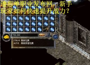 遗忘单职业发布网，新手玩家如何快速提升战力？